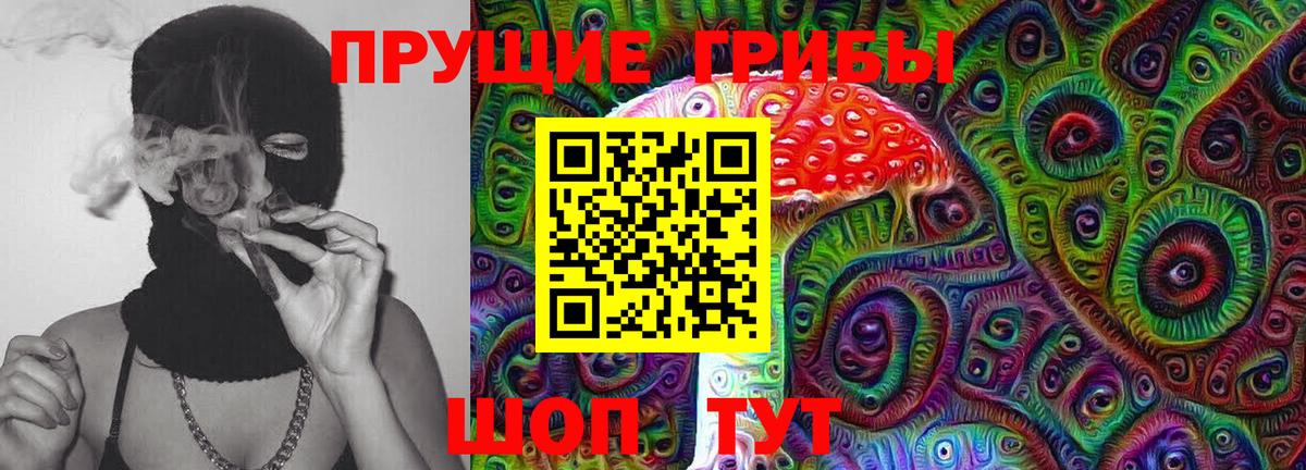 Знаменск  хочу   Вход с VPN  Галлюциногенные грибы мицелий 